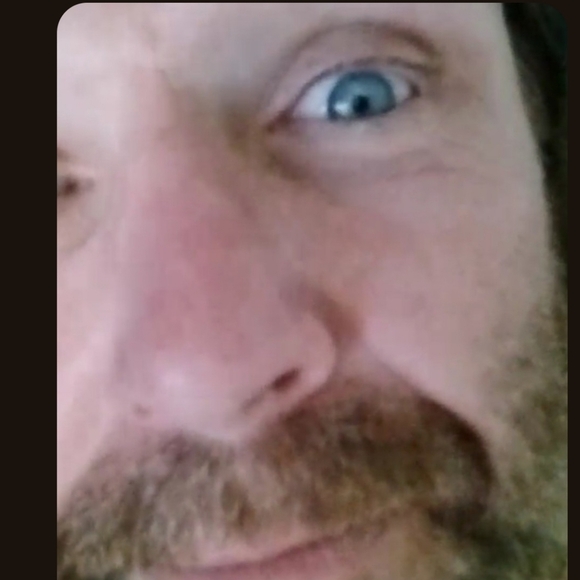 LIVE SHARE SHOW FLYER - Picture 15 of 16